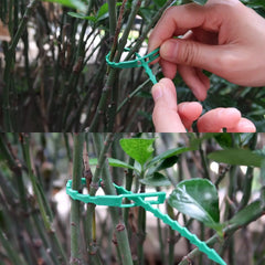30/50/100/200Pcs Reusable Garden Cable Ties Plant Support Shrubs Fastener Tree
