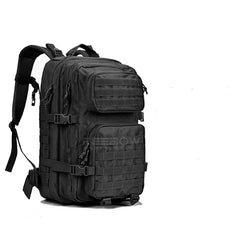 40664204509250|40664204542018|40664204574786