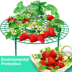 5-20 Pack Strawberry Supports Keeping Plant Fruit Stand Vegetable Growing Rack Garden
