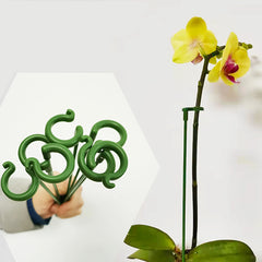 5/10/20pcs Plastic Plant Supports Flower Stand Reusable Protection Fixing Tool Gardening