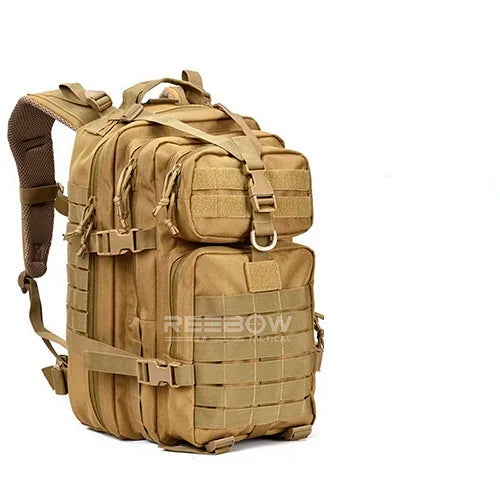 40664205525058|40664205557826|40664205590594