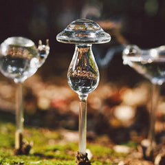 Glass Plants Water Automatic Garden System Self Watering Device Garden Tools Home