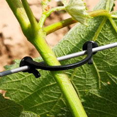 800-1600 Pcs Agricultural Plant Vines Tied Buckle Fixed Lashing Hook Greenhouse Garden