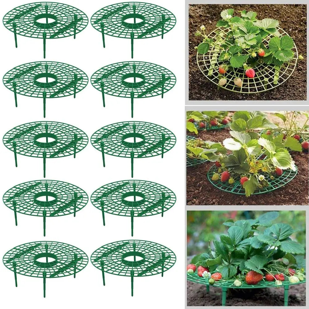 5-20 Pack Strawberry Supports Keeping Plant Fruit Stand Vegetable Growing Rack Garden