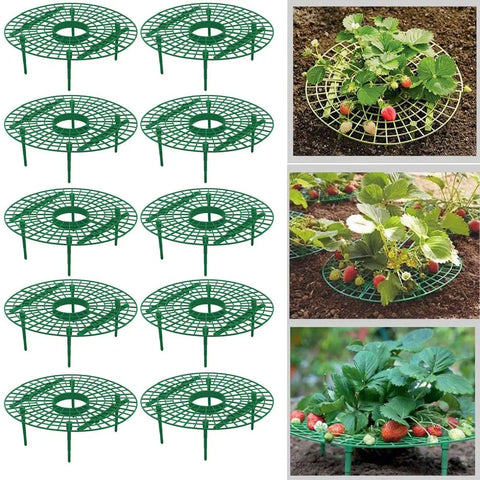 5-20 Pack Strawberry Supports Keeping Plant Fruit Stand Vegetable Growing Rack Garden