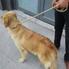 Slip lead dog leash Walking slip Dog lead Nylon slip Leash Big Dog Mountain Climbing Rope