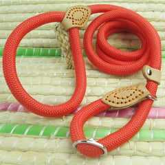 Slip lead dog leash Walking slip Dog lead Nylon slip Leash Big Dog Mountain Climbing Rope