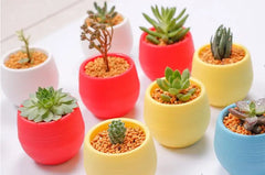 8/13pcs Flower Pots Square Round Planters Pot Trays Creative Plastic Small Pots Succulent