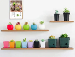 8/13pcs Flower Pots Square Round Planters Pot Trays Creative Plastic Small Pots Succulent