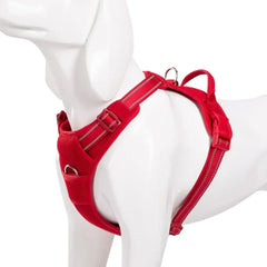 TRUELOVE Pet Harness Nylon Reflective Comfortable and Breathable Explosion-proof