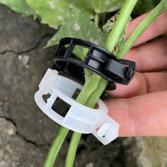Plastic Plant Support Clips Reusable Vegetable Tomato Vines Protection Plant Clips Holder