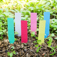 100 Pcs Garden Waterproof Plant Plastic Labels Nursery Nursery Tray Markers DIY Garden