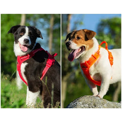 TRUELOVE Pet Harness Nylon Reflective Comfortable and Breathable Explosion-proof