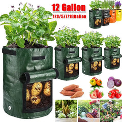 Potato Grow Bags PE Vegetable Planter Growing Bag DIY Fabric Grow Pot Outdoor Garden