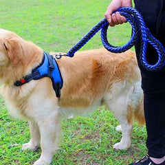 Nylon Dog Harness Leash For Medium Large Dogs Leads Pet Training Running Walking
