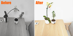 5/10/20pcs Plastic Plant Supports Flower Stand Reusable Protection Fixing Tool Gardening
