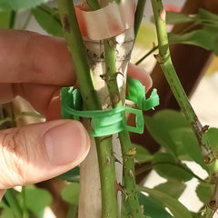 Plastic Plant Support Clips Reusable Vegetable Tomato Vines Protection Plant Clips Holder