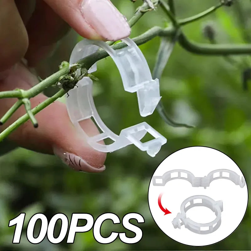 Plastic Plant Support Clips Reusable Vegetable Tomato Vines Protection Plant Clips Holder