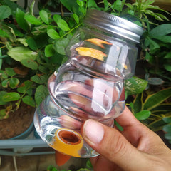 Automatic Watering Tool Indoor Drip Irrigation Watering System Elk & Christmas Tree