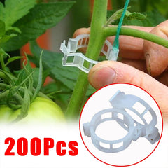 150/50Pcs Plastic Plant Support Clips Reusable Plant Vine Protection Grafting Fixing Tool