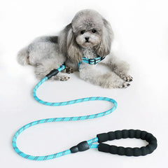 Nylon Dog Harness Leash For Medium Large Dogs Leads Pet Training Running Walking