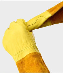Rose Pruning Rosetender Gardening Gloves with Forearm Protection for Men and Women